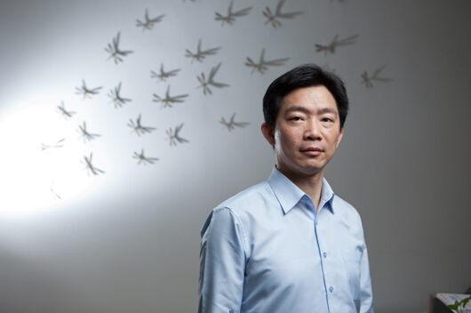 蜻蜓FM杨廷皓:台湾来的CEO为什么在上海创业