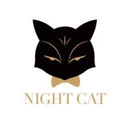 夜猫night cat