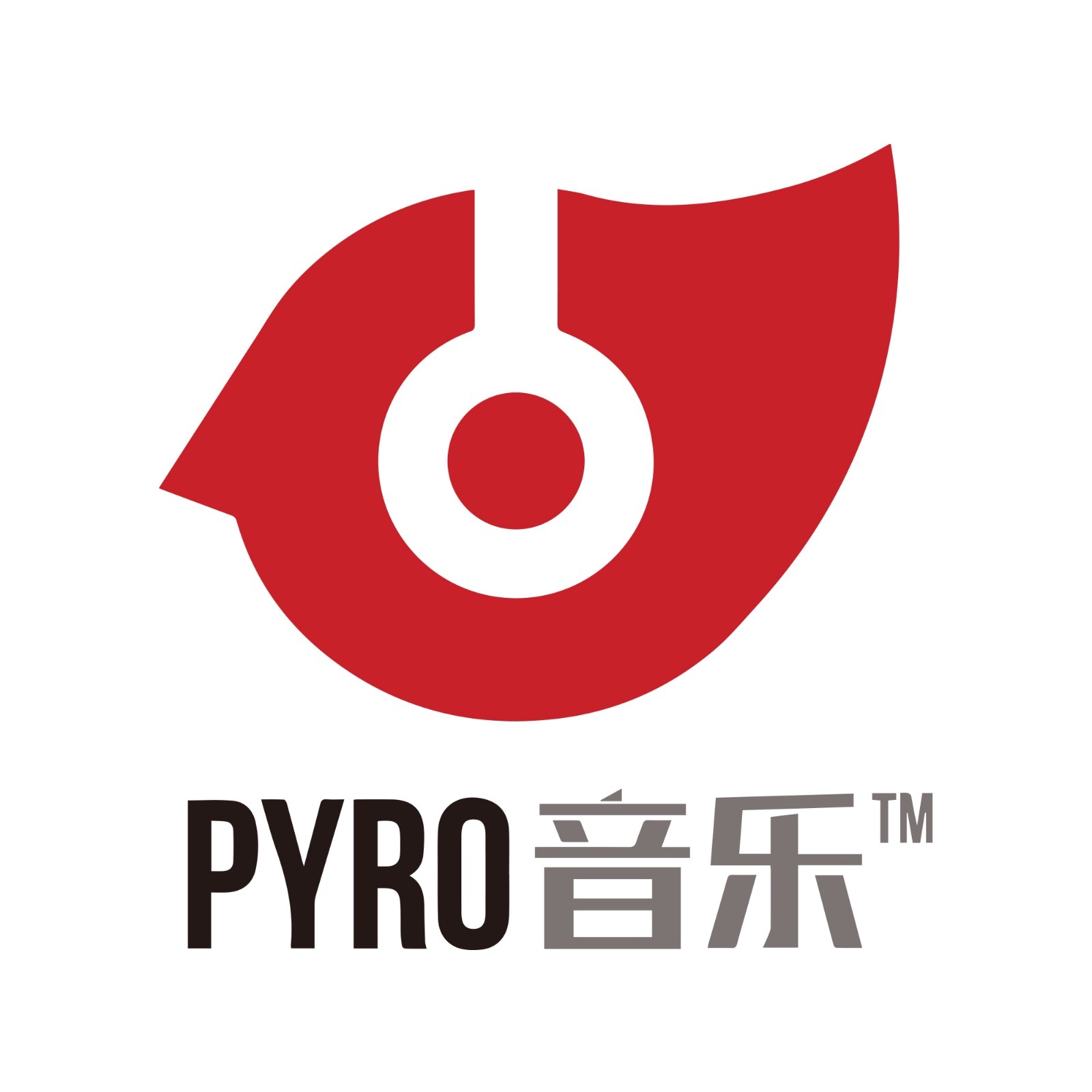 pyro音乐 | 上海湃热网络科技有限公司(音乐音乐应用电子音乐dj)