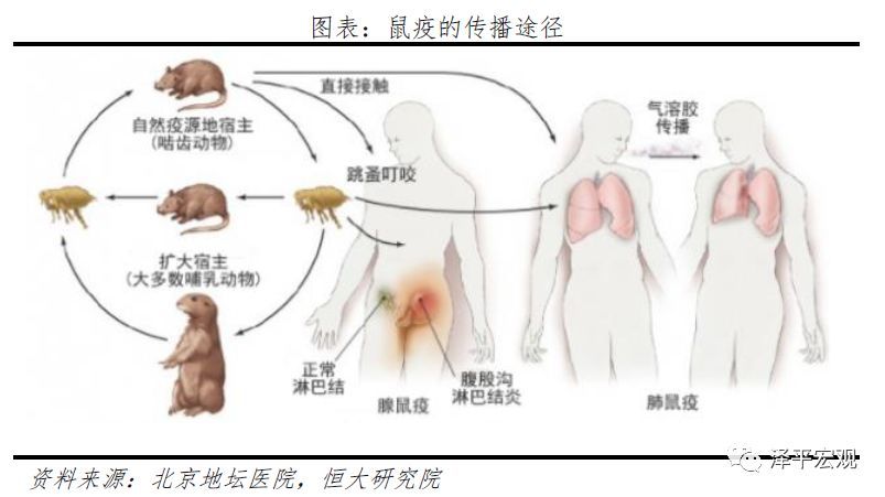 历次大瘟疫：起源、影响、应对及启示