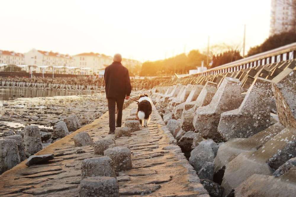 互联网抛弃了我爸妈