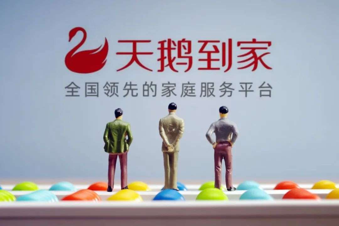 天鹅到家拟上市,家政鸿鹄难高飞