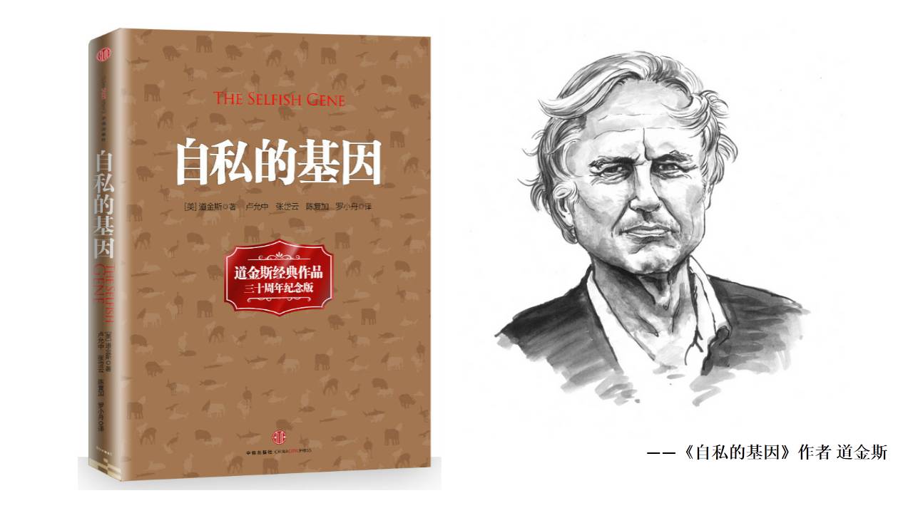 真相是后背的凉2千字领略自私的基因