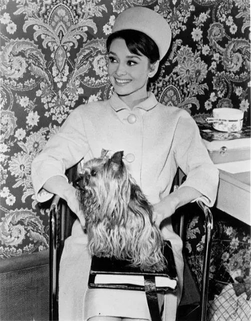 纪梵希大衣,《谜中谜》,1963