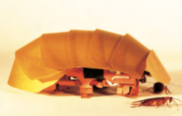 ??????????????????????·??η?2.png ??????????????????????·??η?2.png