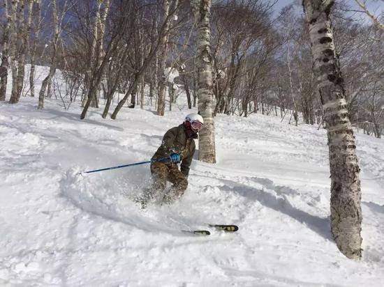 徐易容在北海道野雪道