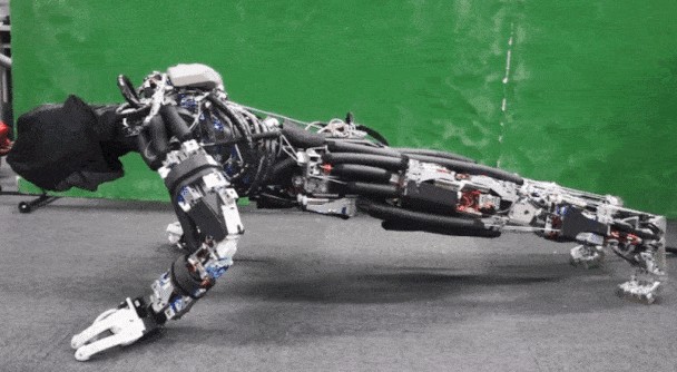 不止是情感脆弱者,男性机器人伴侣正在成为女人的福音 Kengoro机器人