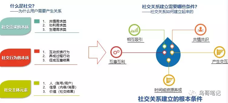 那么社交关系的建立和维护需要依托什么呢?
