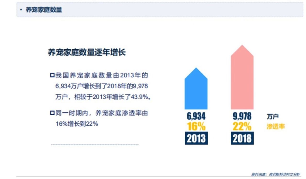 年均花费3969元,养宠也成了千亿级市场 年均花费3969元,养宠也成了千亿级市场