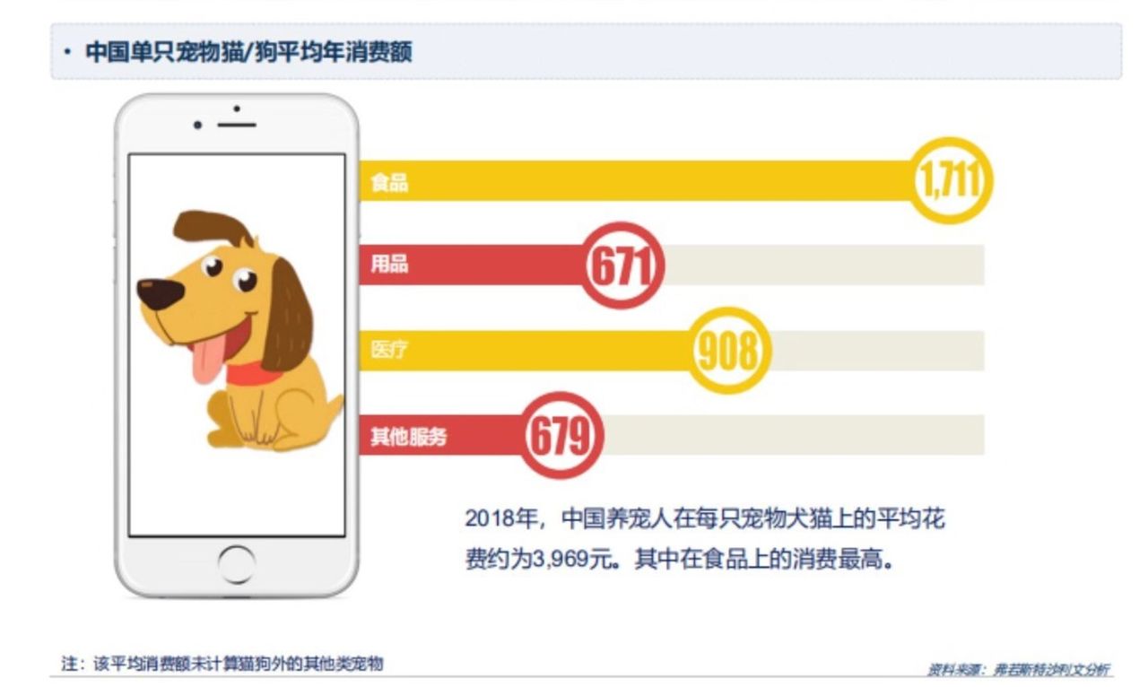年均花费3969元,养宠也成了千亿级市场 年均花费3969元,养宠也成了千亿级市场