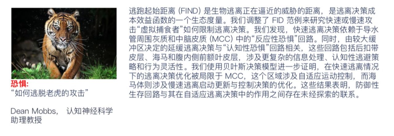 陈天桥的脑科学研究有了新成果:让盲人“看见”,还让瘫痪者“有感觉” 如何老虎攻击(图片来源:TCCI2018年度报告)