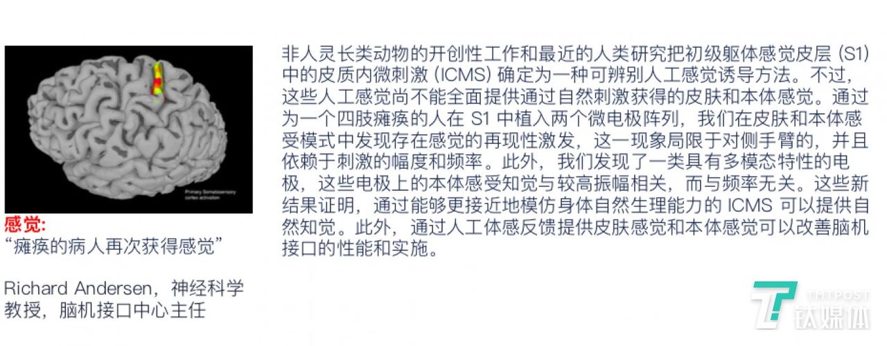 陈天桥的脑科学研究有了新成果:让盲人“看见”,还让瘫痪者“有感觉” 瘫痪的病人再次获得感觉(图片来源:TCCI2018年度报告)