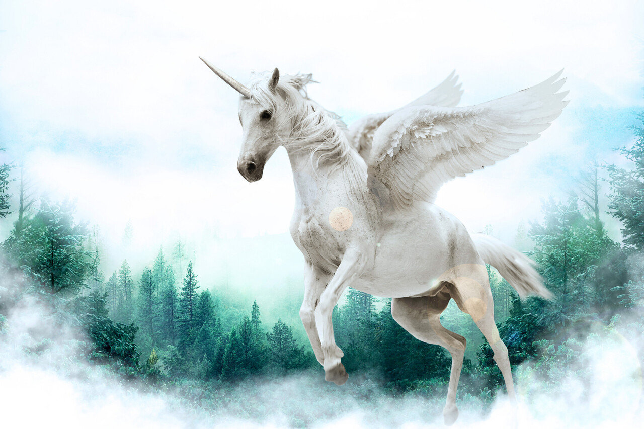摄图网_500559807_banner.jpg