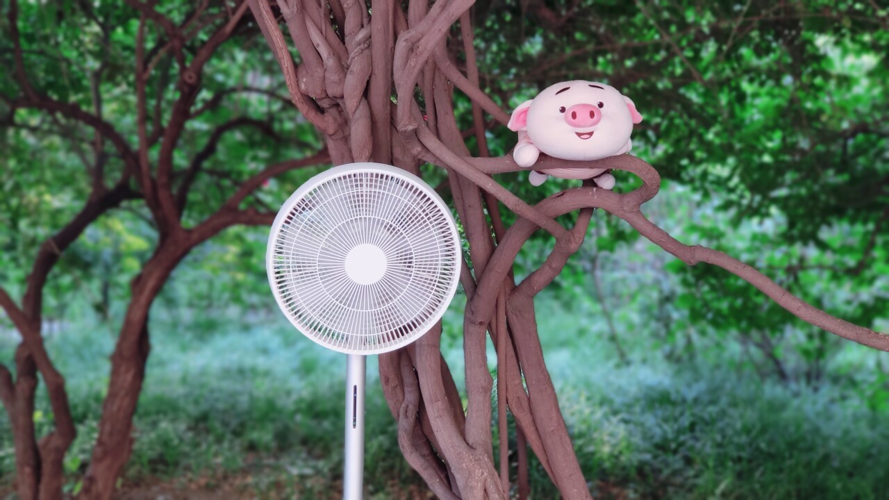 699元的智能电风扇 如何吹出雨后森林风 丨毒家评测