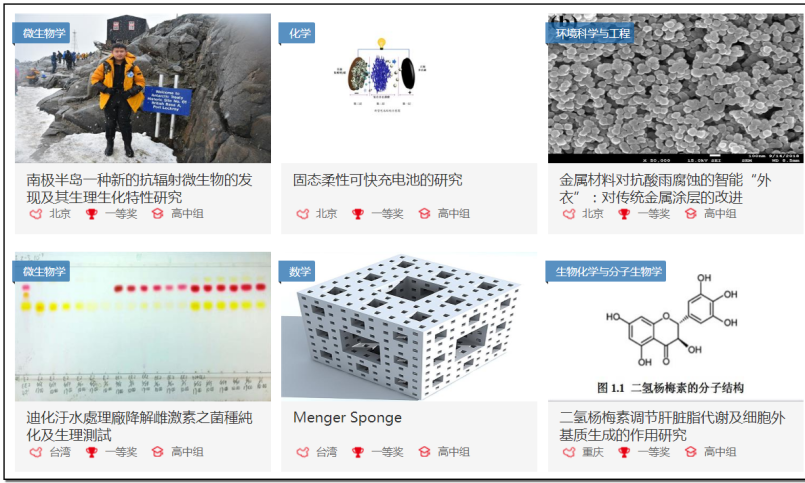 科研造假 从娃娃抓起