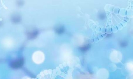 红杉中国组局基因组学孵化，大健康产业布局再度向前