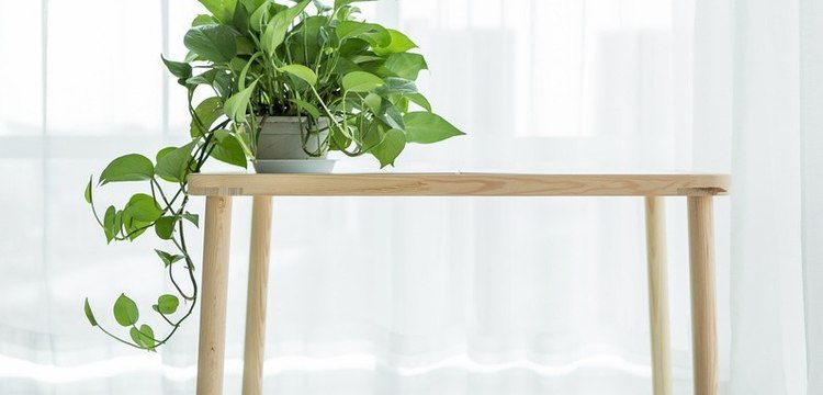 独家揭秘丨「ROEHL」获数百万美元Pre-A轮融资,线性资本领投大揭秘