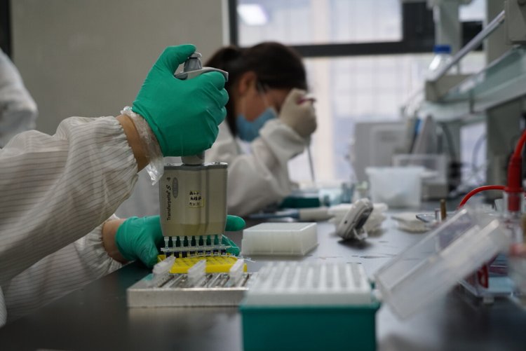 博瑞迪生物首创动植物分子育种技术，成功获数千万A轮融资，引领行业风向
