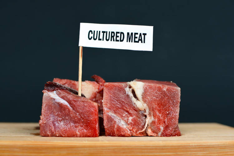 植物肉：引爆智慧与品味的热潮，你真的了解需求吗？
