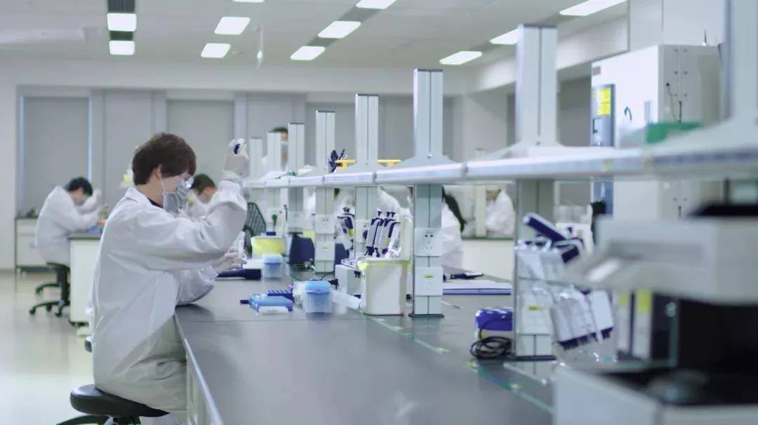分子生物学服务