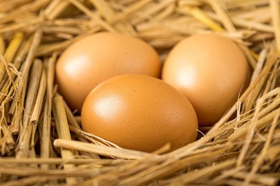 融资丨「快弹科技」完成千万元Pre-A轮融资，钧鸣资本独家投资