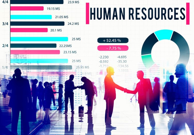 新时代就业趋势！两亿新打工人的选择、挑战与出路