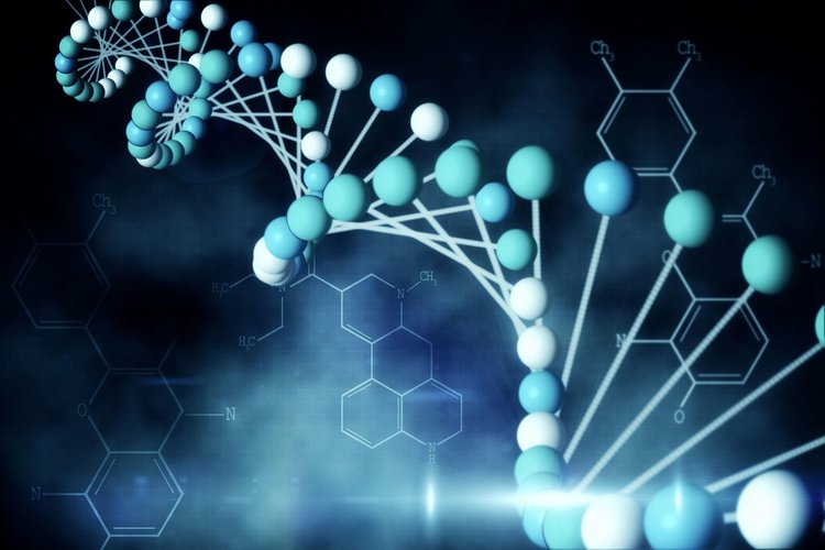 稀缺生物药！优信合生完成天使轮融资，专注合成生物学活体药研发