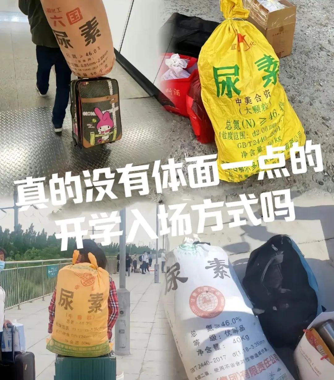 大学重生背的尿素袋，背面是隐形的国家竞赛？