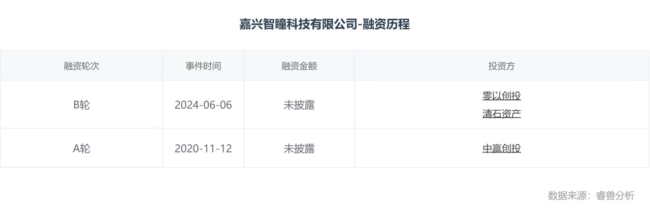 嘉兴智瞳科技有限公司-融资历程.png