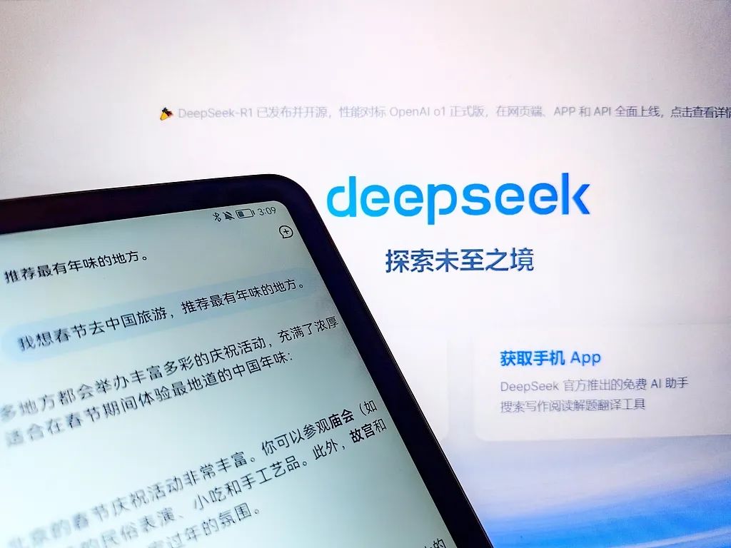deepseek使用指DpSk南