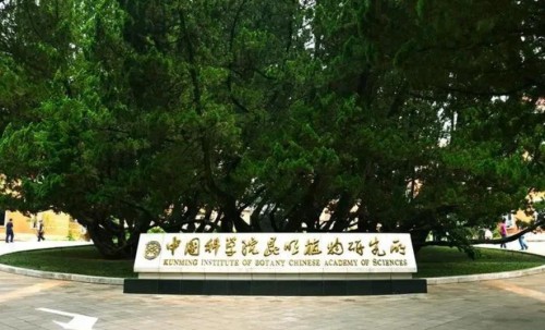 IMG_5459.png