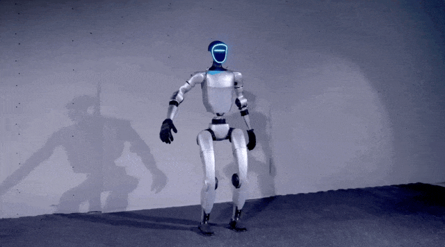 17.gif