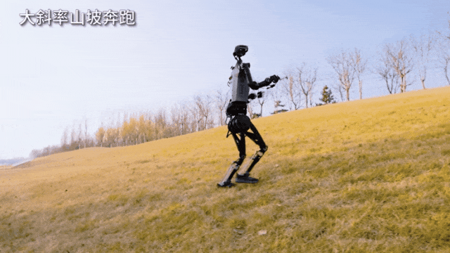 19.gif
