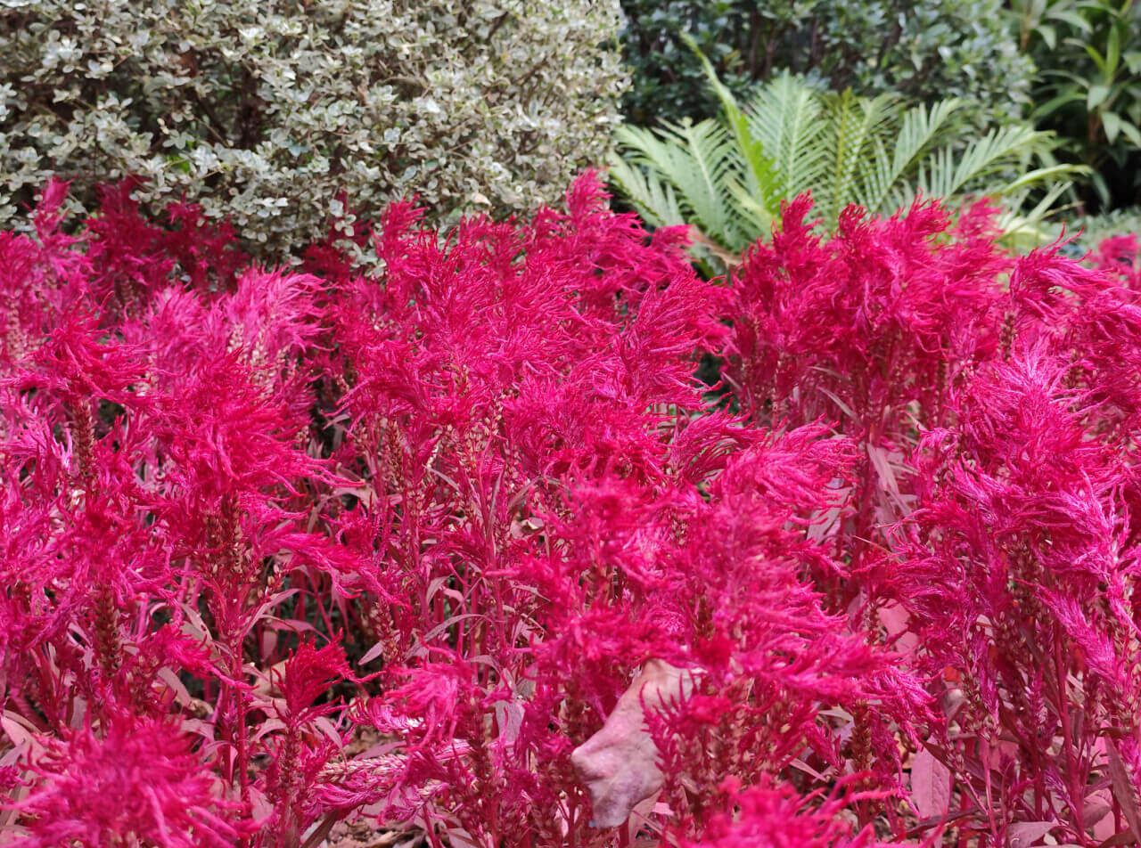 屏幕截图 2025-12-16 114124.png