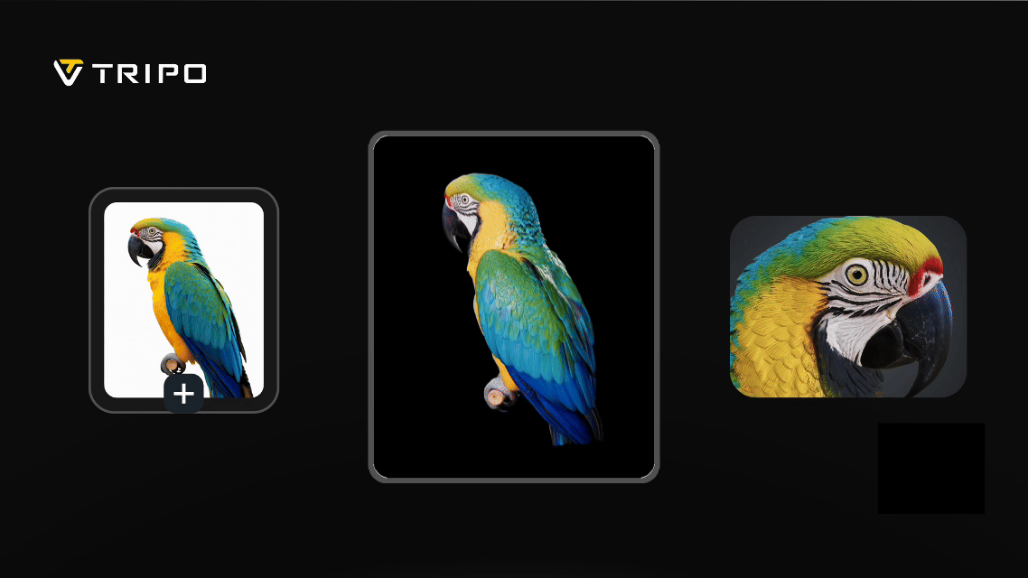 6.6.gif