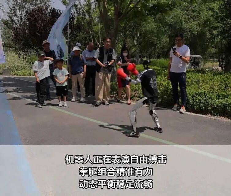 双击查看原图