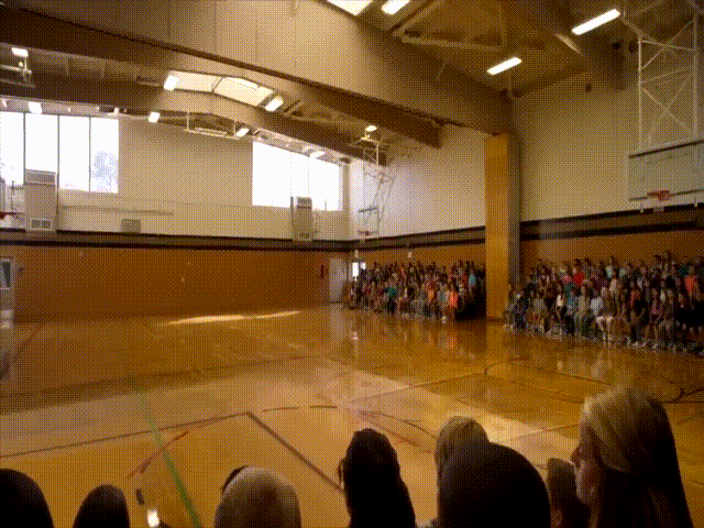 Whale Surprise Jumps into a Gym in Mixed Reality (Exciting) by Magic Leap-2.gif