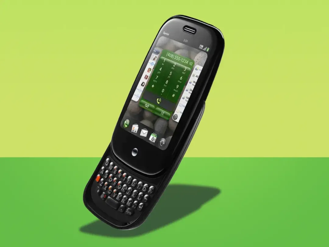 06-palm.webp