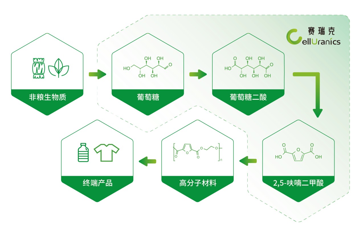 C:/Users/17771/Desktop/赛瑞克logo、二维码等/赛瑞克（非粮）技术路线图.png赛瑞克（非粮）技术路线图