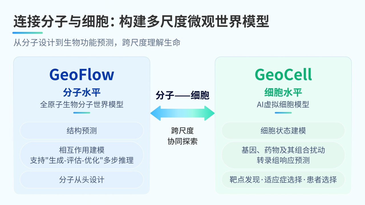 GeoFlow与GeoCell分子—细胞模型概念图