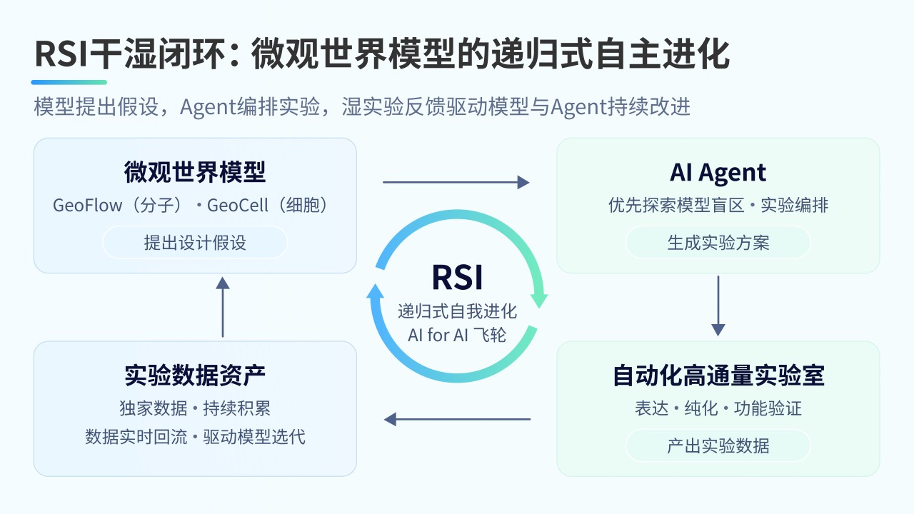 RSI设计—实验—学习反馈闭环概念图